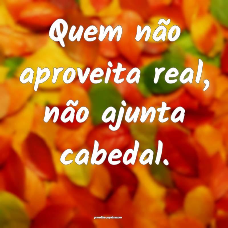 Quem não aproveita real, não ajunta cabedal.
...