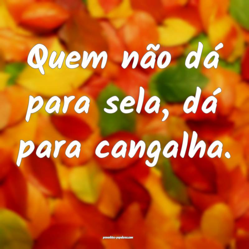 Quem não dá para sela, dá para cangalha.
...