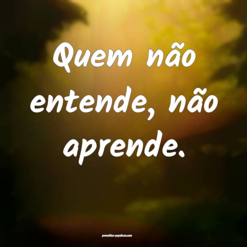 Quem não entende, não aprende.
 ...