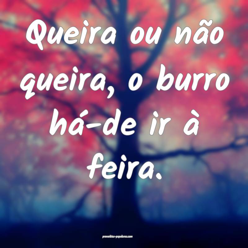 Queira ou não queira, o burro há-de ir à feira.
...