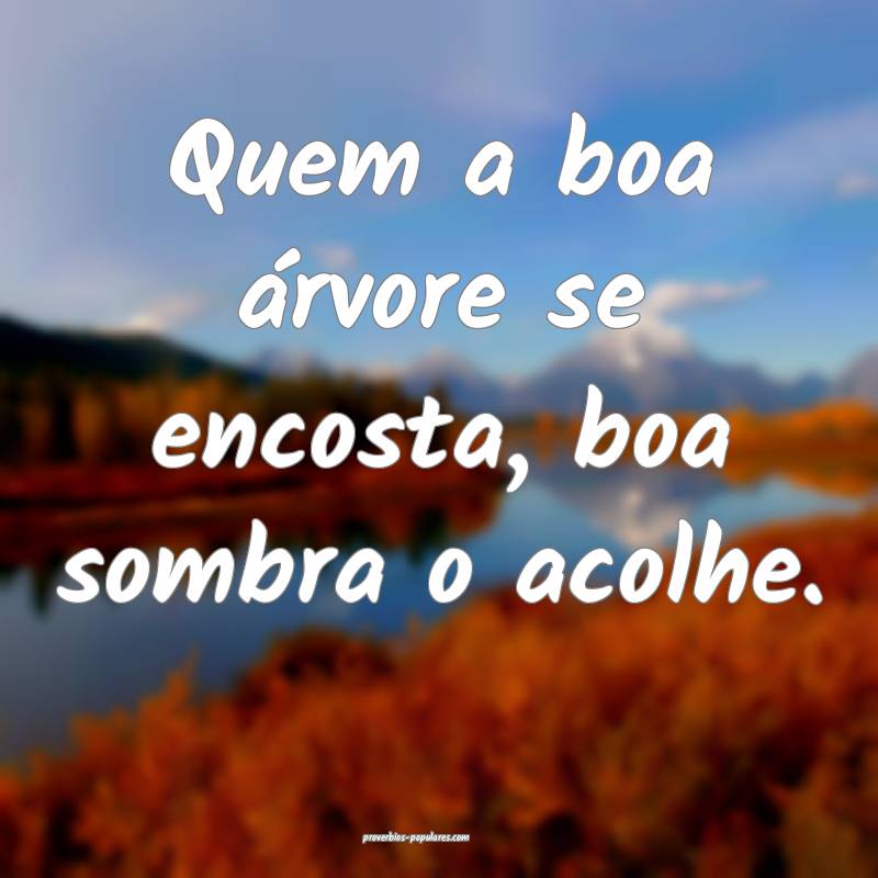 Quem a boa árvore se encosta, boa sombra o acolhe.
...