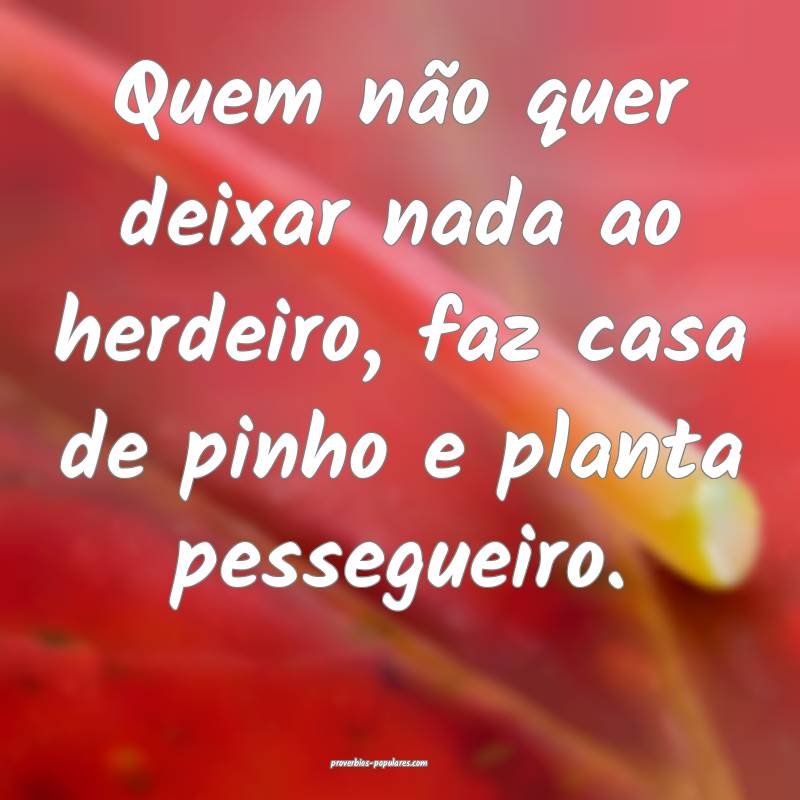 Quem não quer deixar nada ao herdeiro, faz casa de pinho e planta pes...