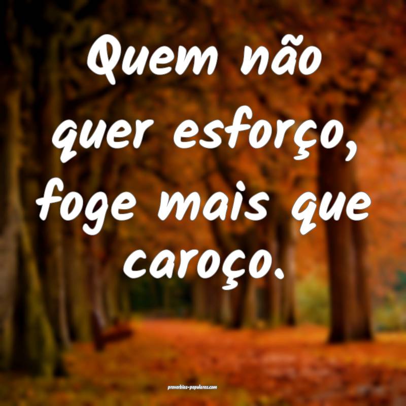 Quem não quer esforço, foge mais que caroço.
...