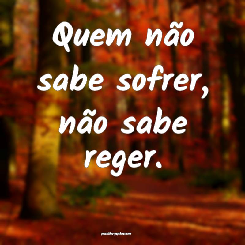 Quem não sabe sofrer, não sabe reger.
...