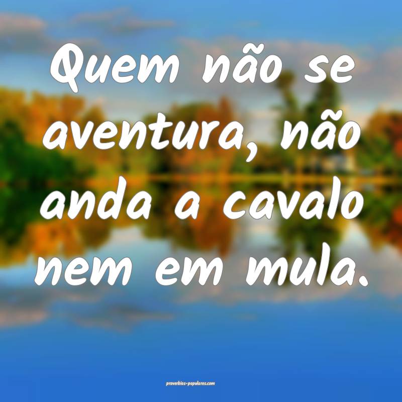 Quem não se aventura, não anda a cavalo nem em mula.
...