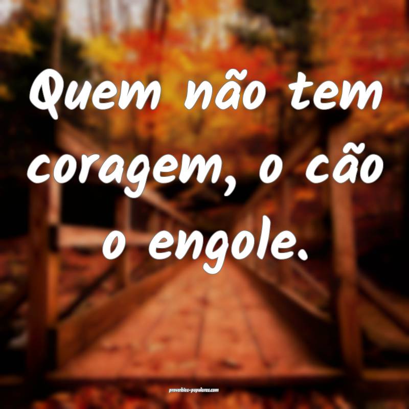 Quem não tem coragem, o cão o engole.
...