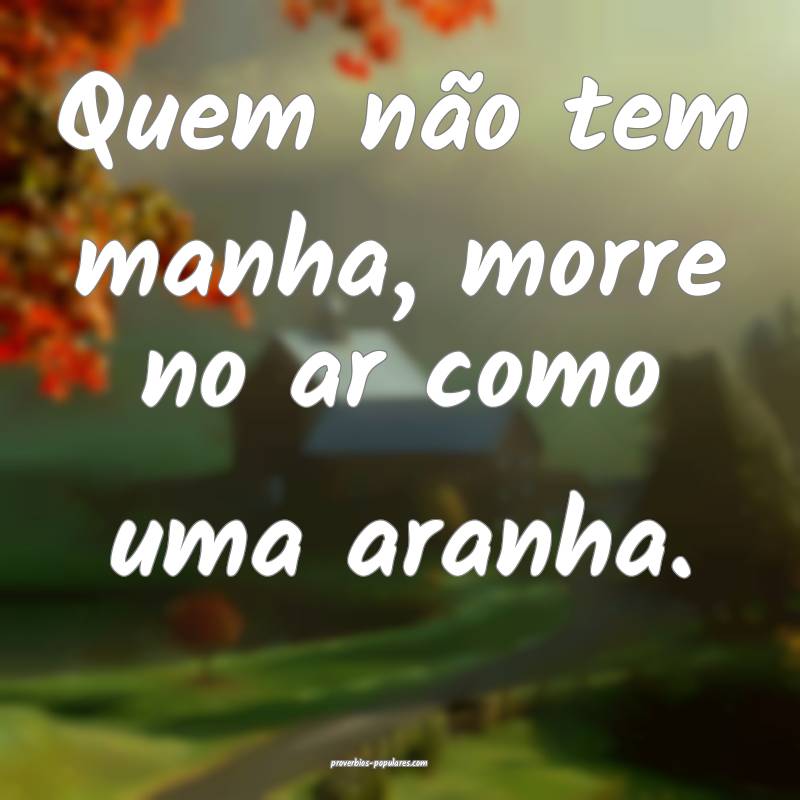 Quem não tem manha, morre no ar como uma aranha.
...