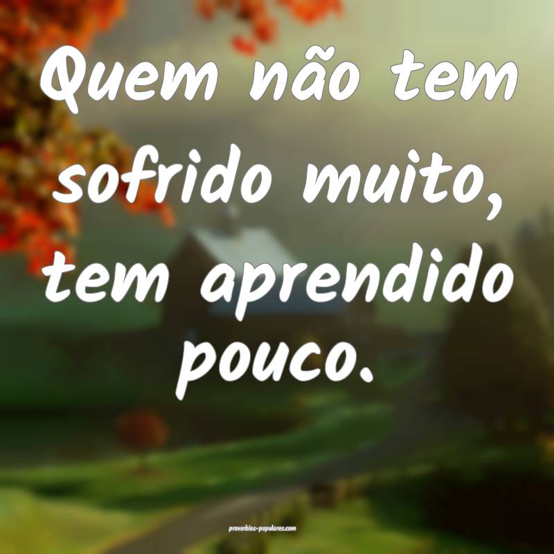 Quem não tem sofrido muito, tem aprendido pouco.
...