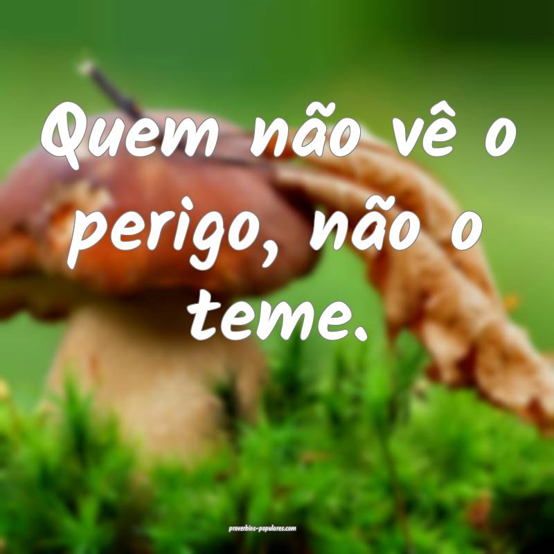 Quem não vê o perigo, não o teme.
...