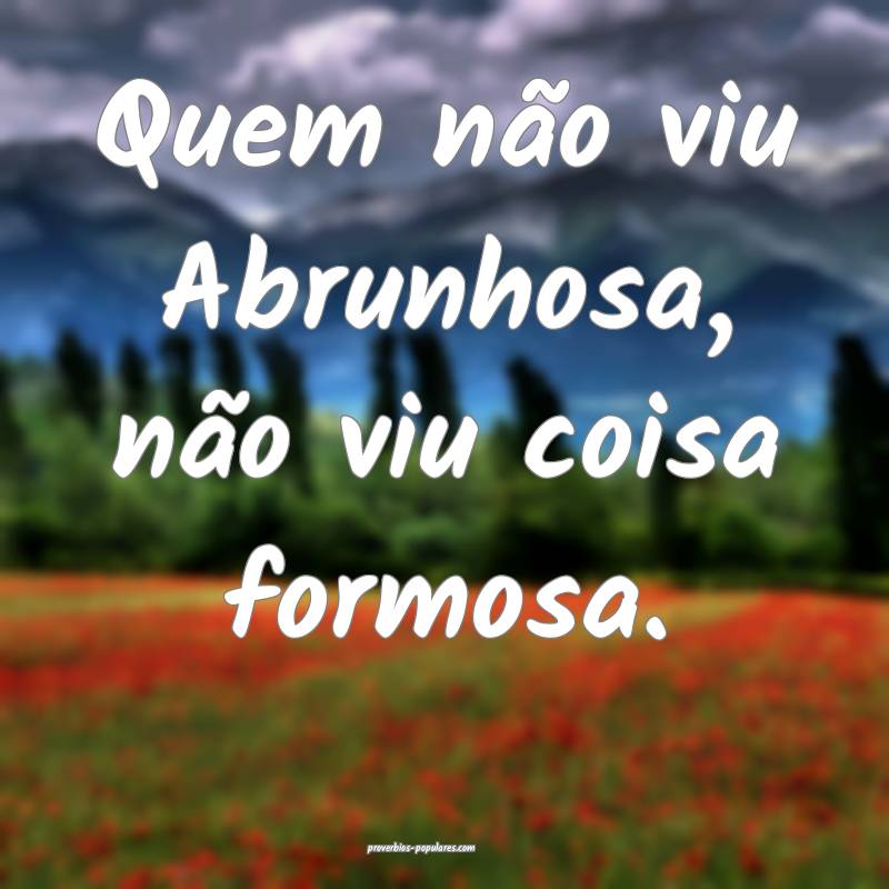 Quem não viu Abrunhosa, não viu coisa formosa.
...