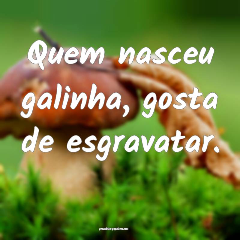 Quem nasceu galinha, gosta de esgravatar.
 ...