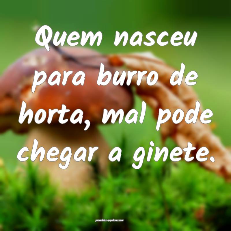 Quem nasceu para burro de horta, mal pode chegar a ...