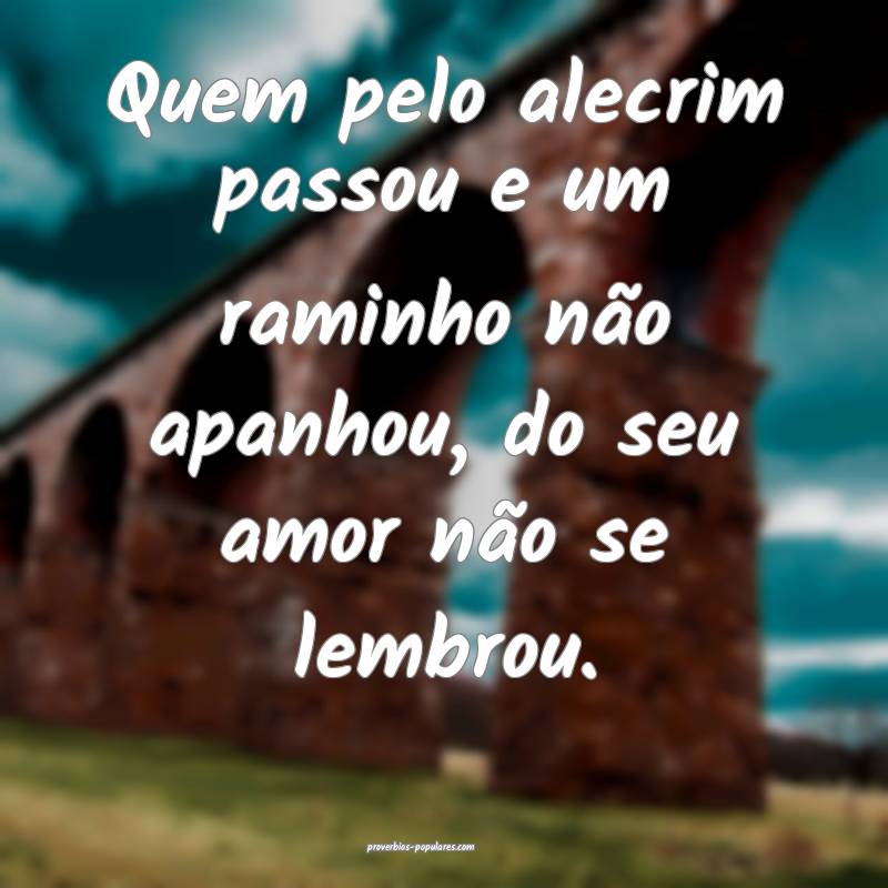 Quem pelo alecrim passou e um raminho não apanhou, do seu amor não s...