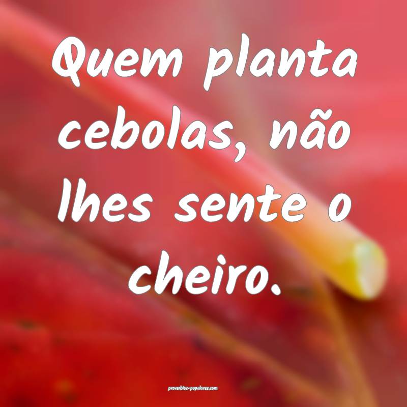 Quem planta cebolas, não lhes sente o cheiro.
 ...