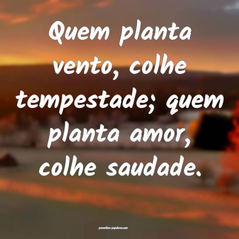 Quem planta vento, colhe tempestade; quem planta amor, colhe saudade.
...