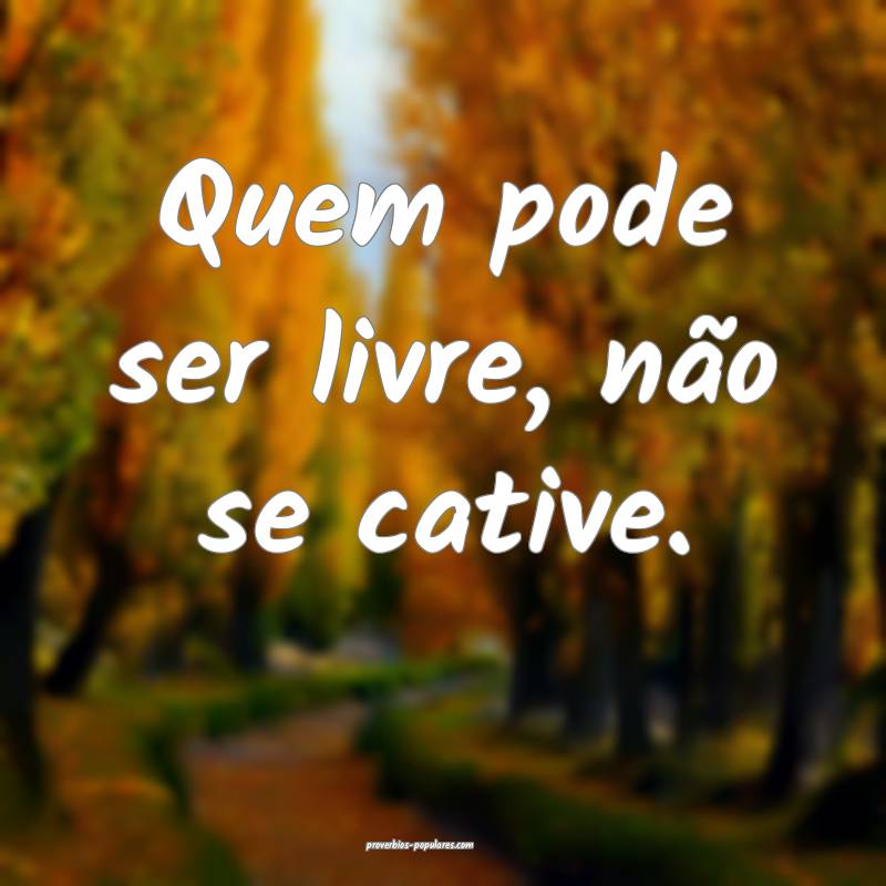 Quem pode ser livre, não se cative.
...