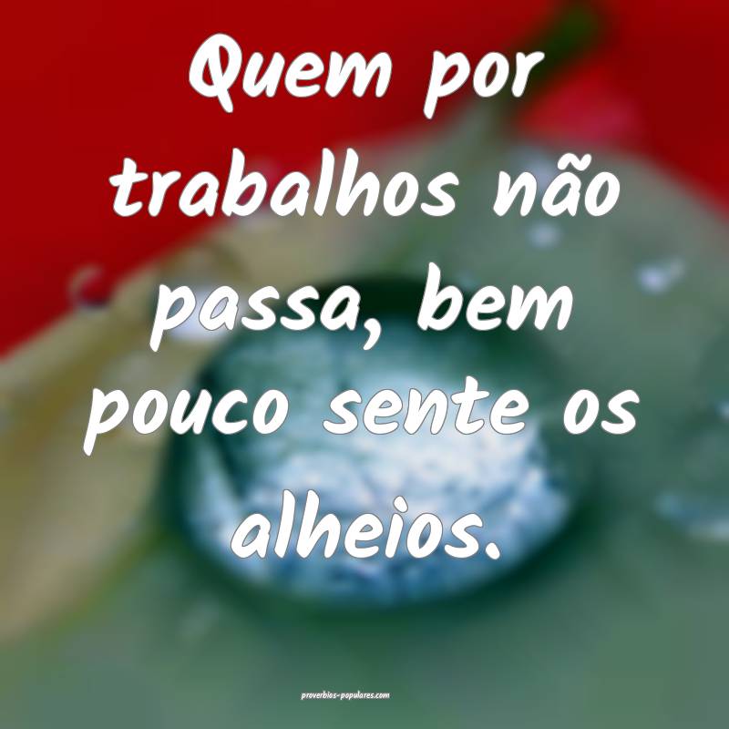 Quem por trabalhos não passa, bem pouco sente os alheios.
...