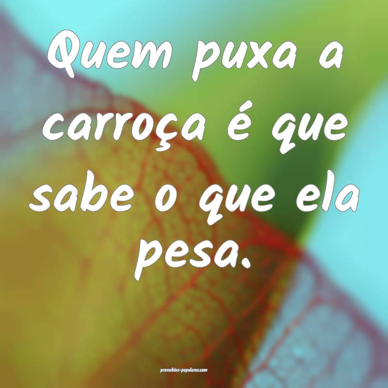 Quem puxa a carroça é que sabe o que ela pesa.
...