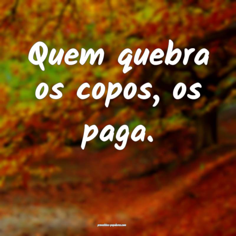 Quem quebra os copos, os paga.
...