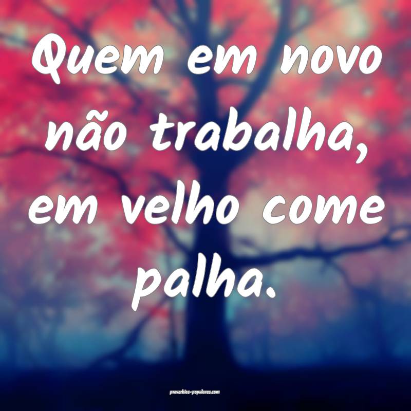 Quem em novo não trabalha, em velho come palha.
...