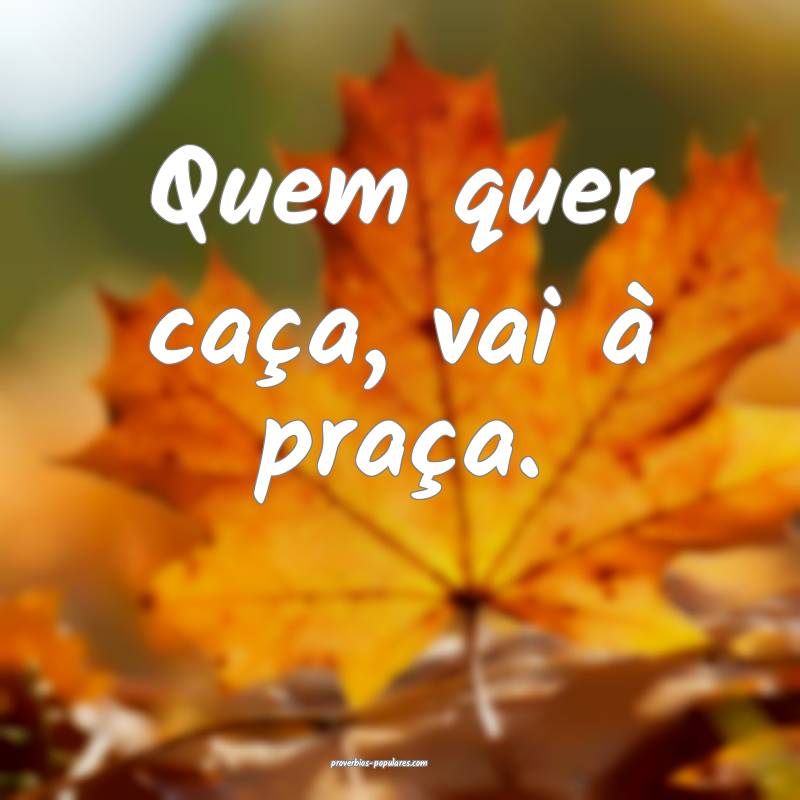 Quem quer caça, vai à praça.
...