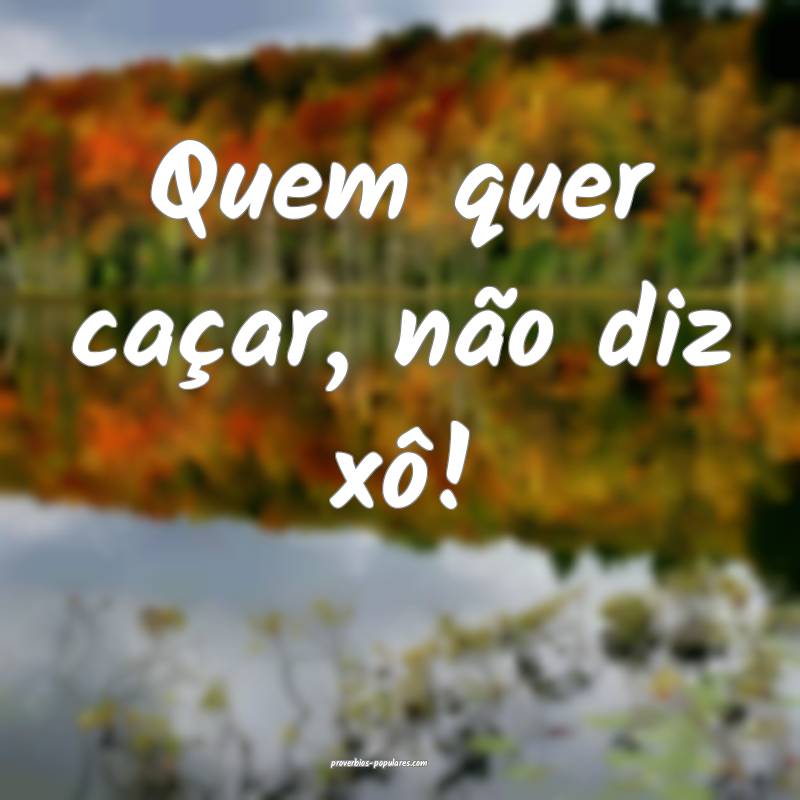 Quem quer caçar, não diz xô!
 ...