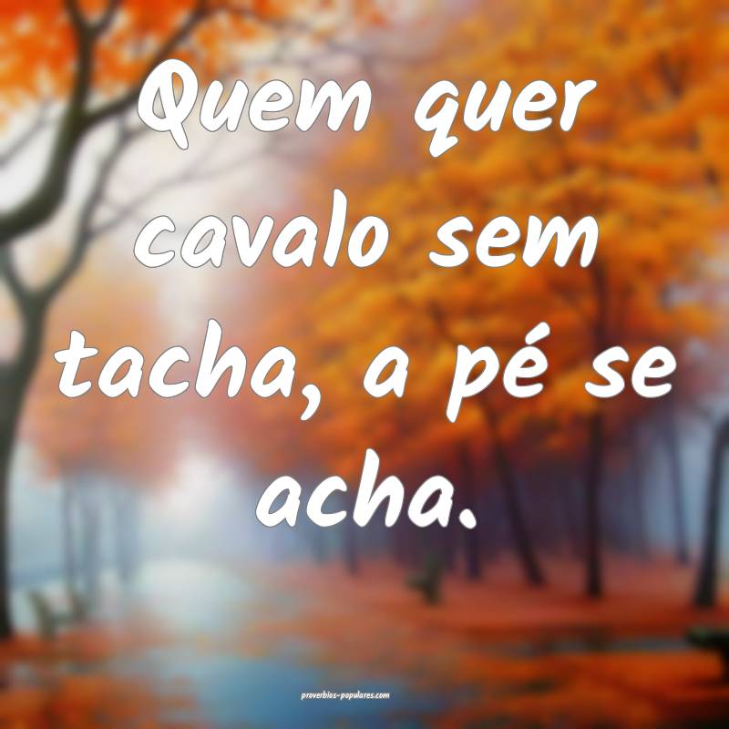 Quem quer cavalo sem tacha, a pé se acha.
...