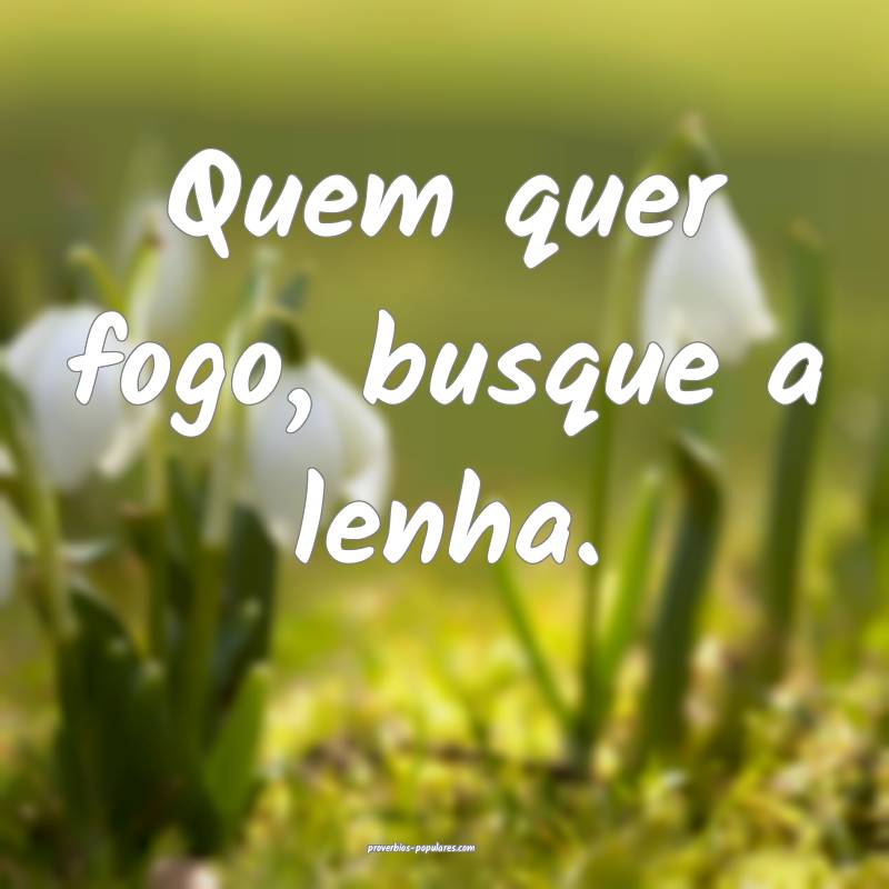 Quem quer fogo, busque a lenha.
...