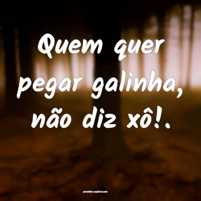 Quem quer pegar galinha, não diz xô!.
...