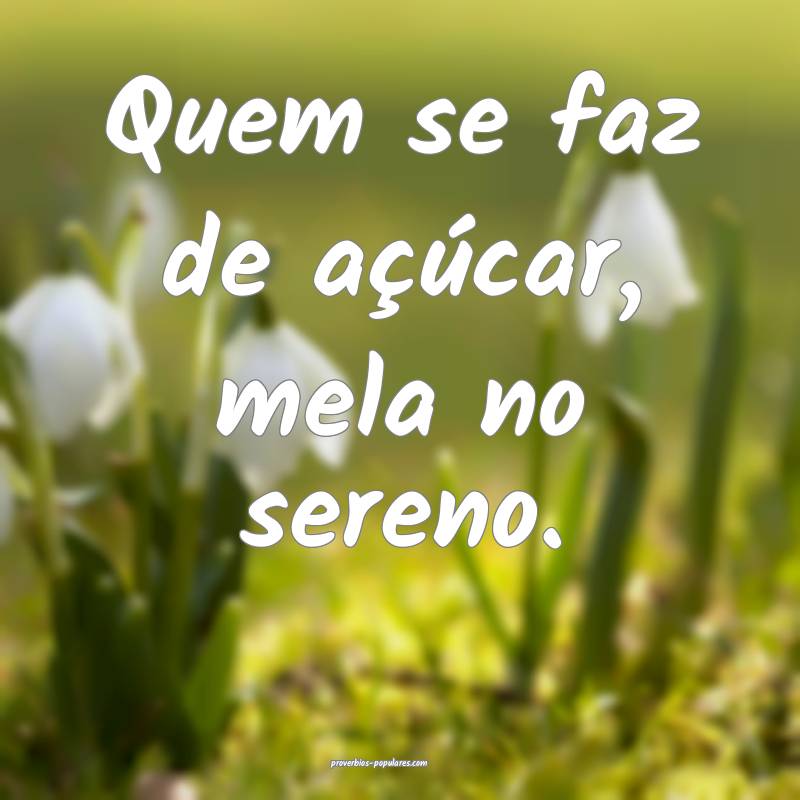 Quem se faz de açúcar, mela no sereno.
...