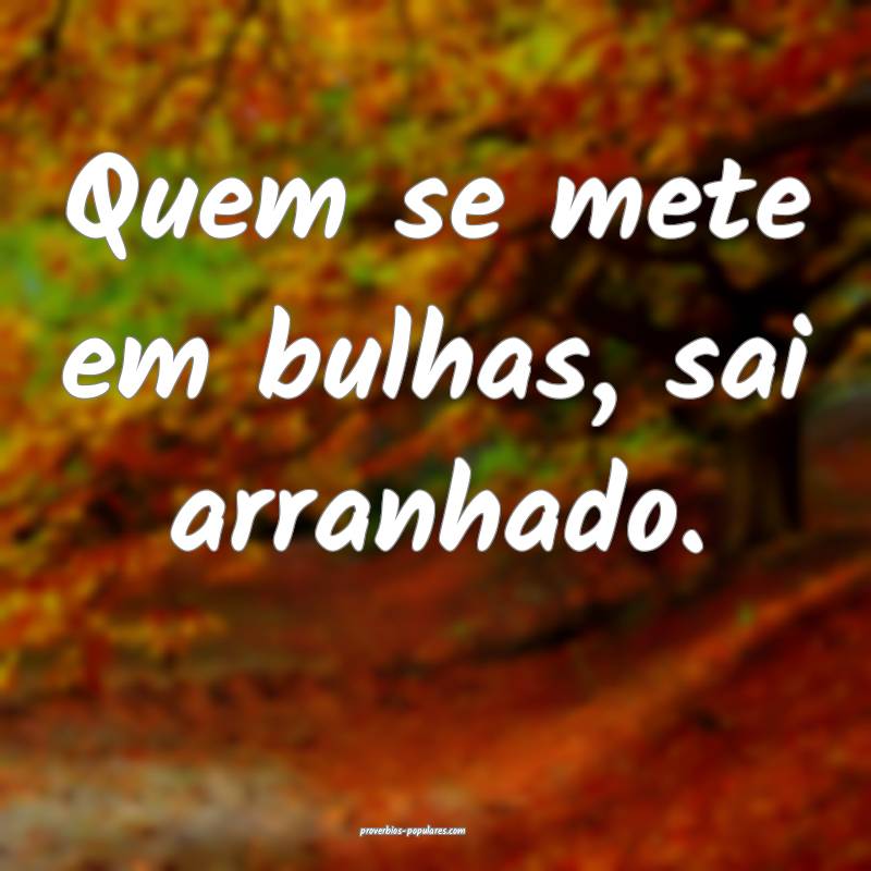 Quem se mete em bulhas, sai arranhado.
...