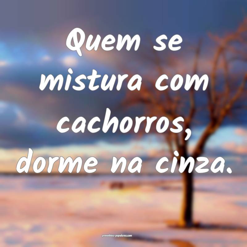 Quem se mistura com cachorros, dorme na cinza.
...