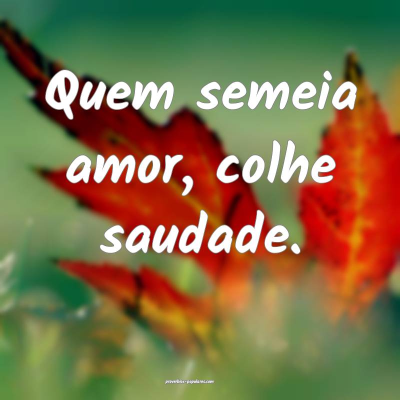 Quem semeia amor, colhe saudade.
...