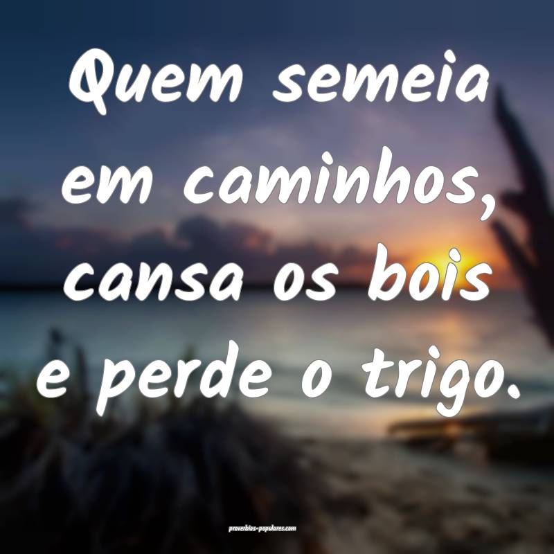 Quem semeia em caminhos, cansa os bois e perde o trigo.
...
