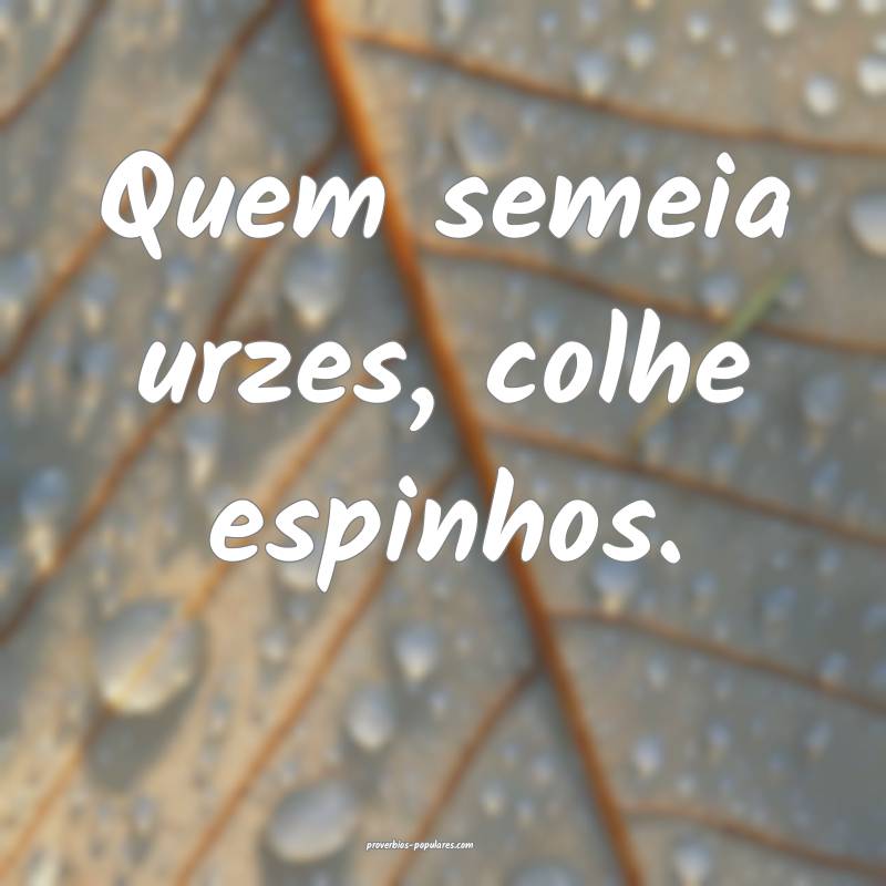 Quem semeia urzes, colhe espinhos.
...