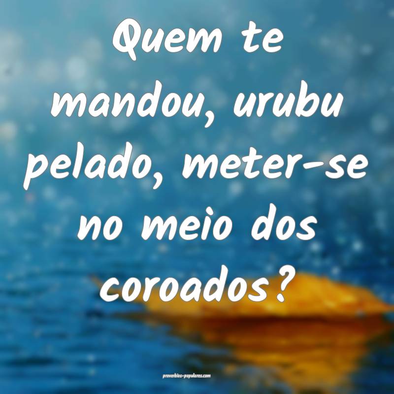 Quem te mandou, urubu pelado, meter-se no meio dos coroados?
...