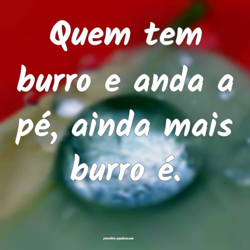 Quem tem burro e anda a pé, ainda mais burro é.
...