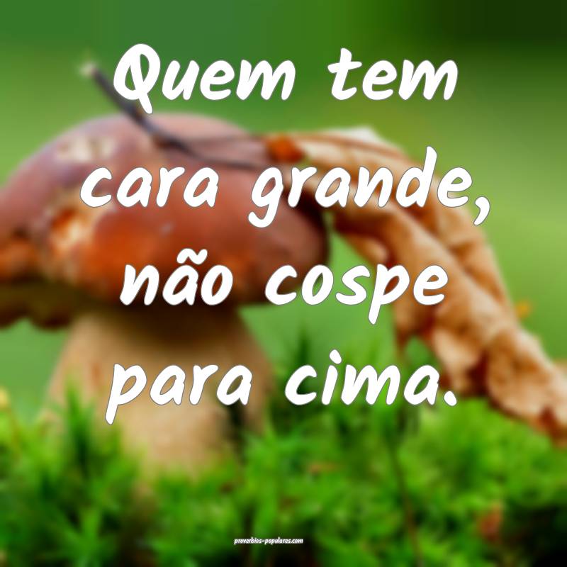 Quem tem cara grande, não cospe para cima.
...