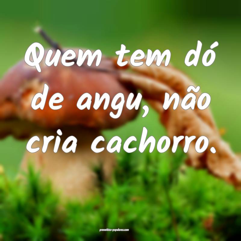 Quem tem dó de angu, não cria cachorro.
...