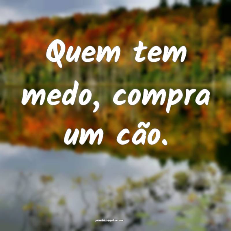 Quem tem medo, compra um cão.
 ...