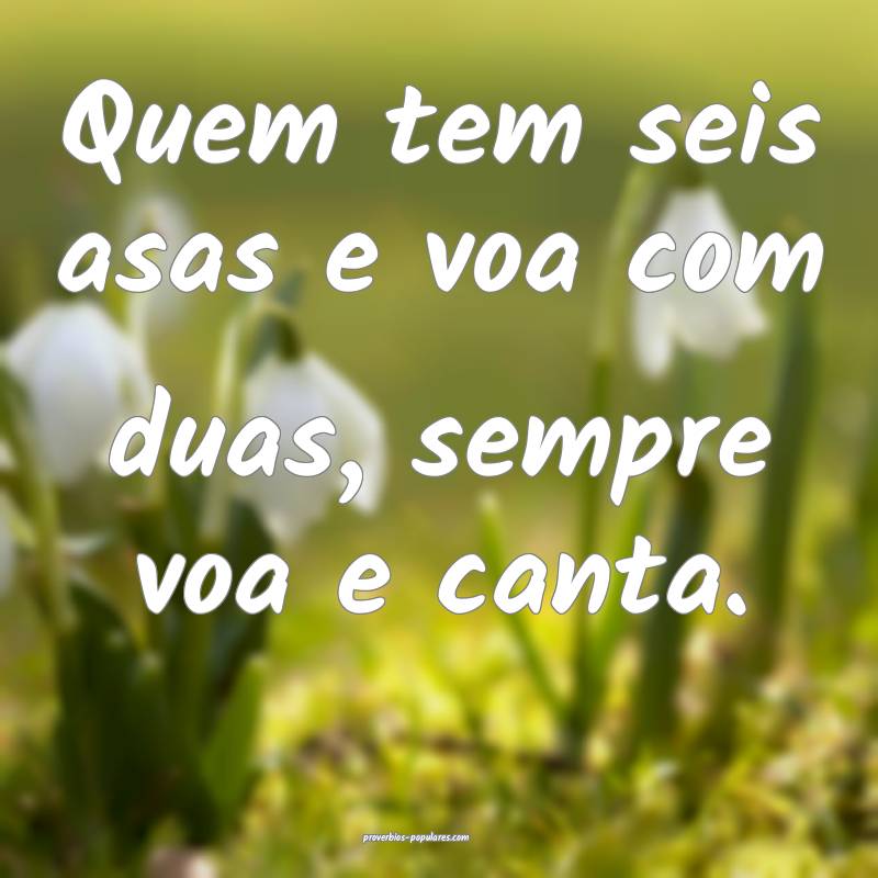 Quem tem seis asas e voa com duas, sempre voa e canta.
...
