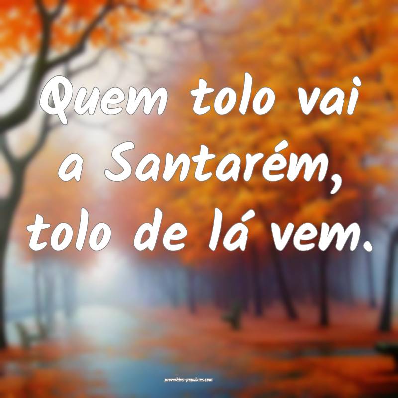 Quem tolo vai a Santarém, tolo de lá vem.
...