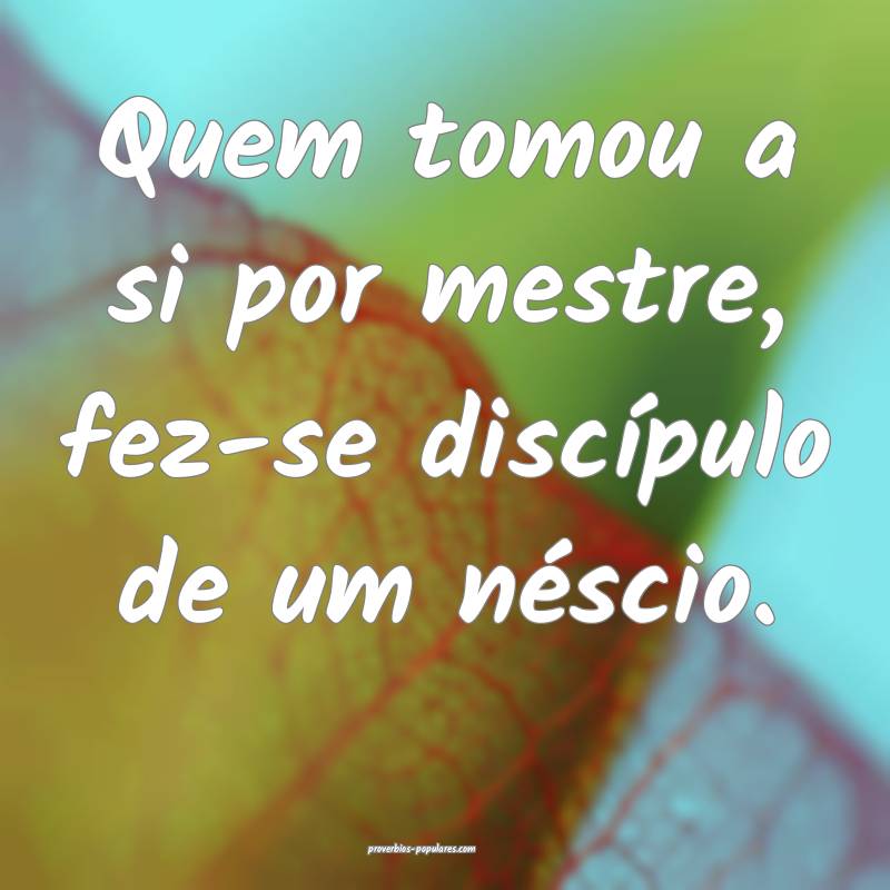 Quem tomou a si por mestre, fez-se discípulo de um néscio.
...