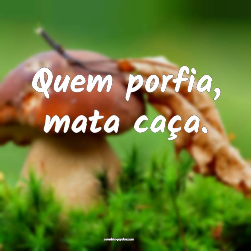 Quem porfia, mata caça.
...