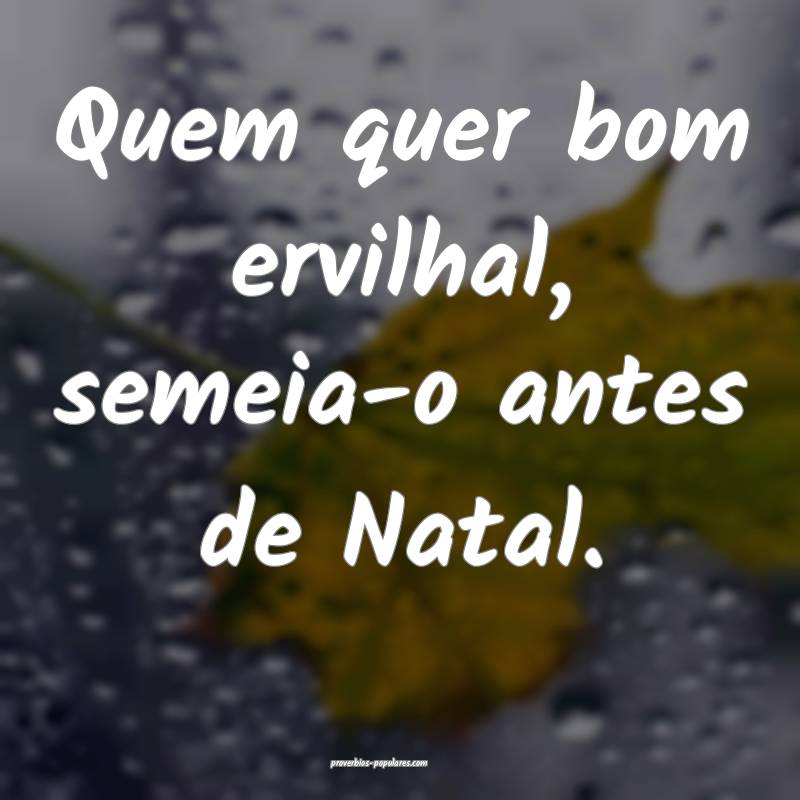 Quem quer bom ervilhal, semeia-o antes de Natal.
...