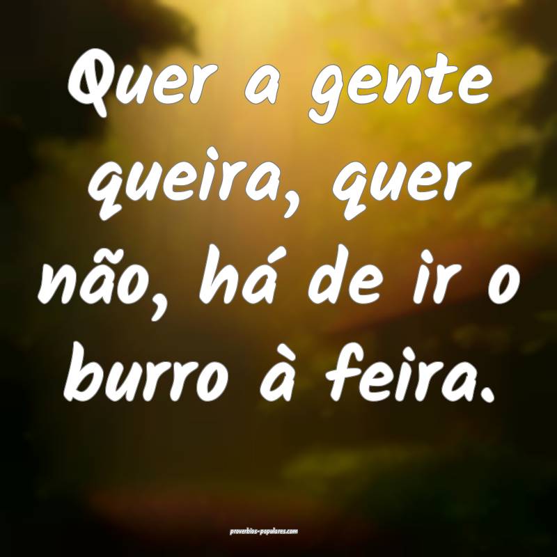 Quer a gente queira, quer não, há de ir o burro à feira.
...