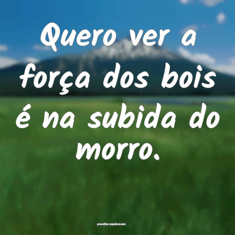 Quero ver a força dos bois é na subida do morro. ...
