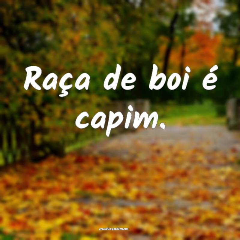Raça de boi é capim.
...