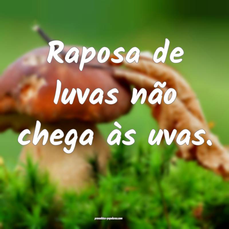 Raposa de luvas não chega às uvas.
...