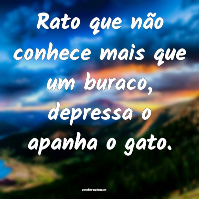 Rato que não conhece mais que um buraco, depressa o apanha o gato.
...